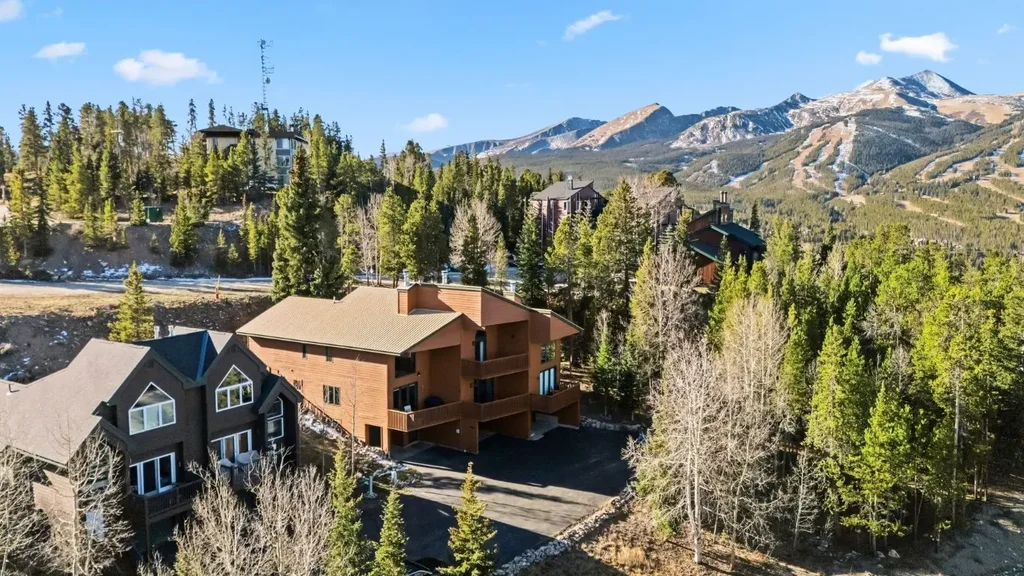 1682 Boreas Pass Road C, Breckenridge