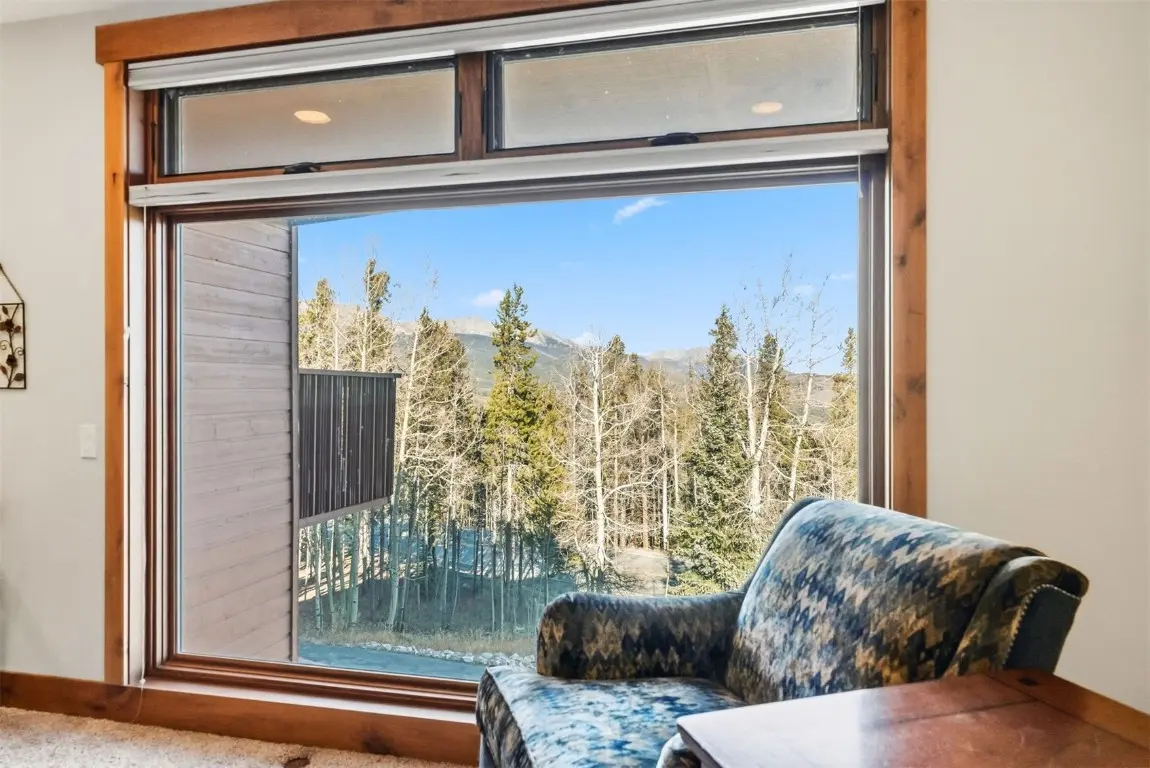 1682 Boreas Pass Road C, Breckenridge