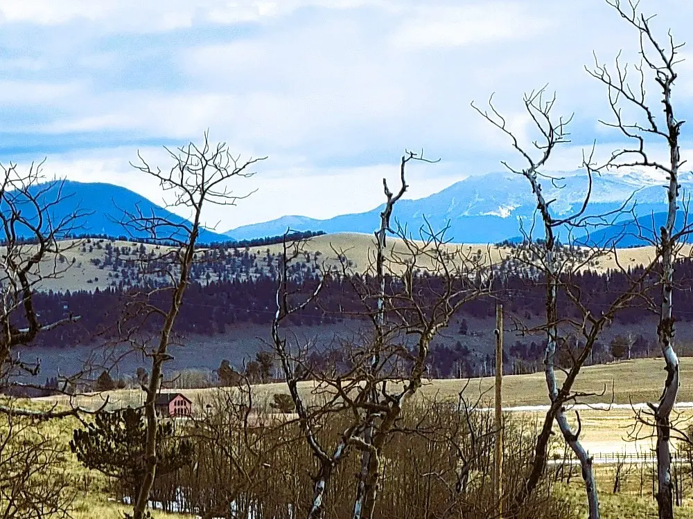 542 Thickspike Road, Fairplay