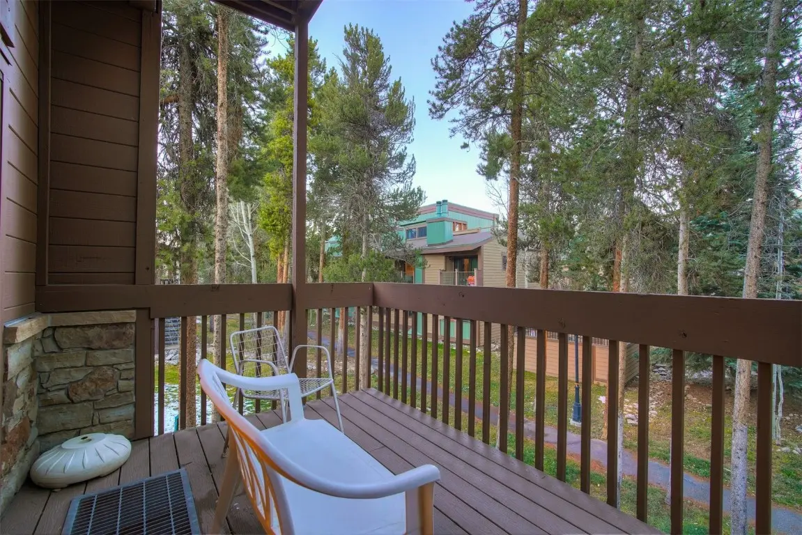 270 Primrose Path 33, Breckenridge