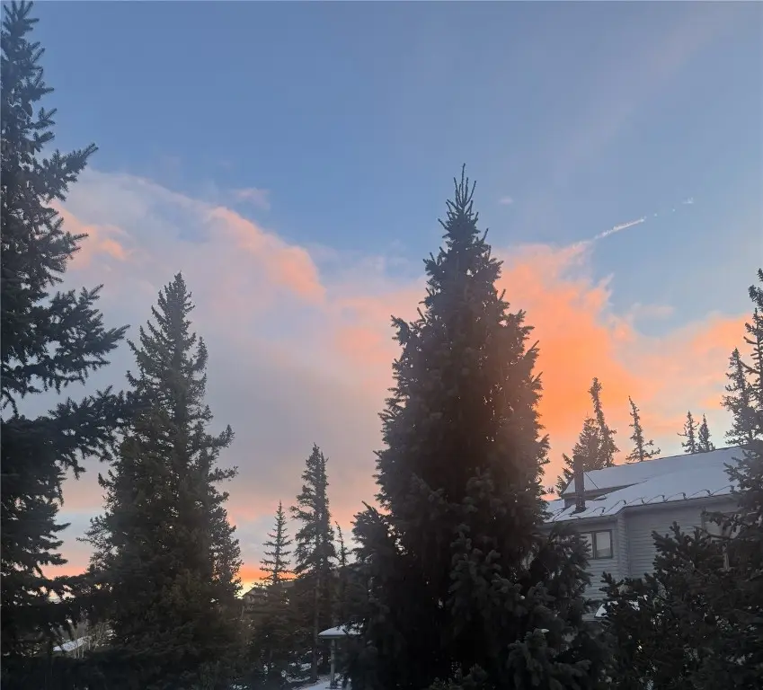 109 Janes Way, Silverthorne