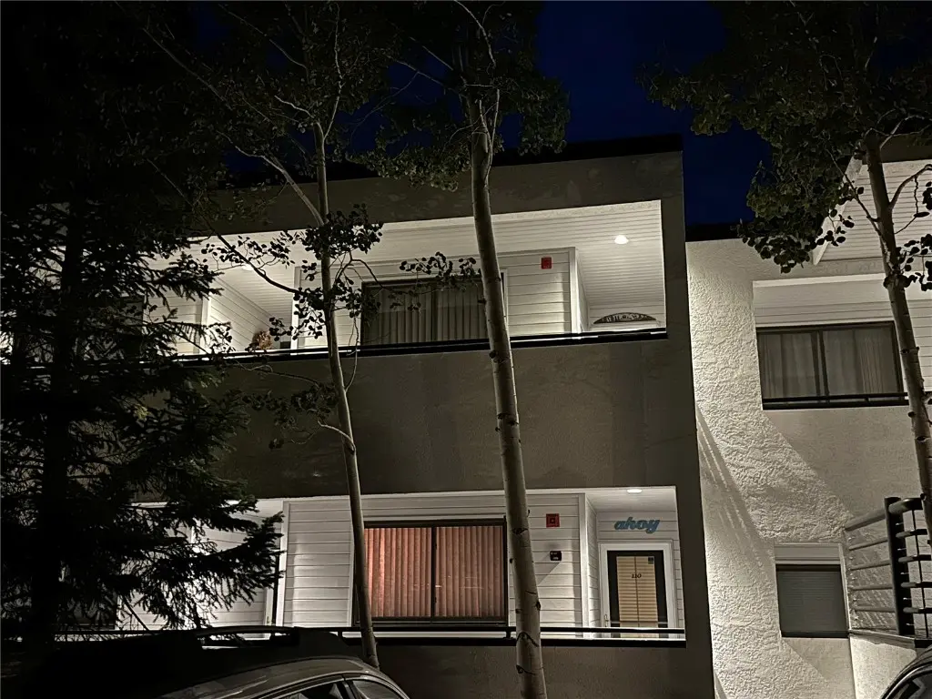 460 Tenderfoot Street 110, Dillon