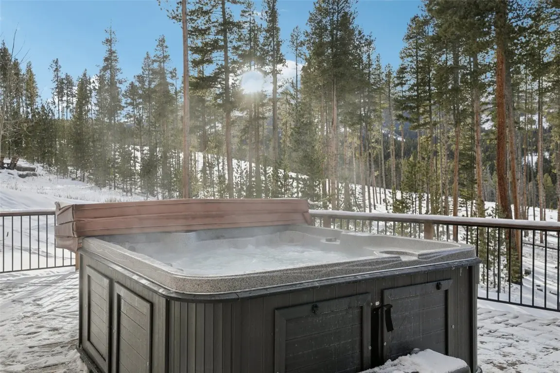 655 White Cloud Drive, Breckenridge