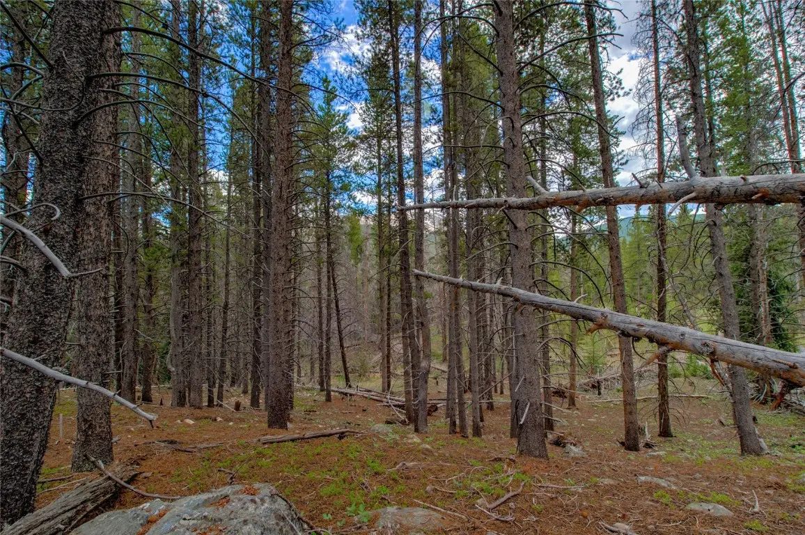 525 Gold King Way, Breckenridge