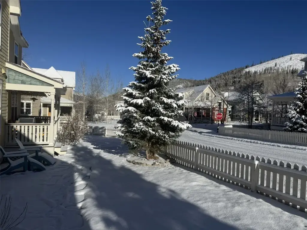 63 Bridge Street, Breckenridge