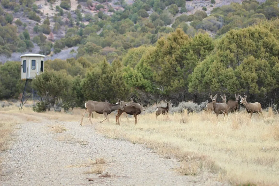 18946 County Road 57, Maybell