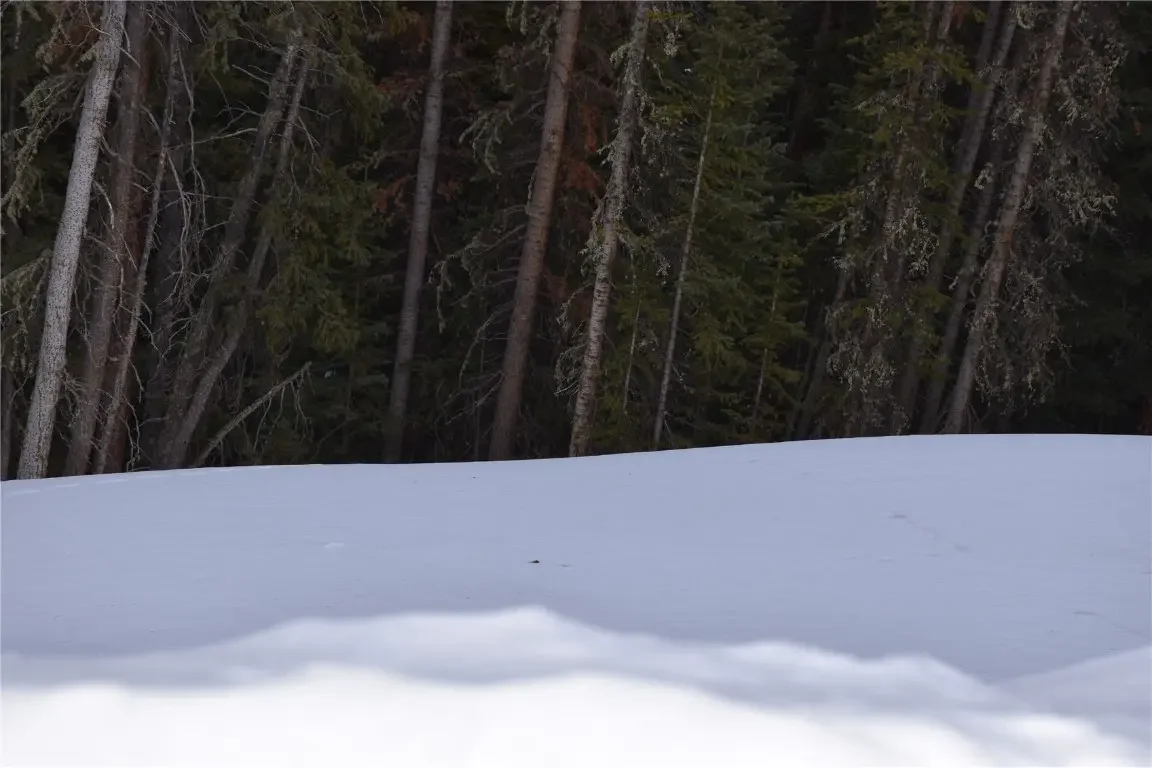 404 Carroll Lane, Breckenridge