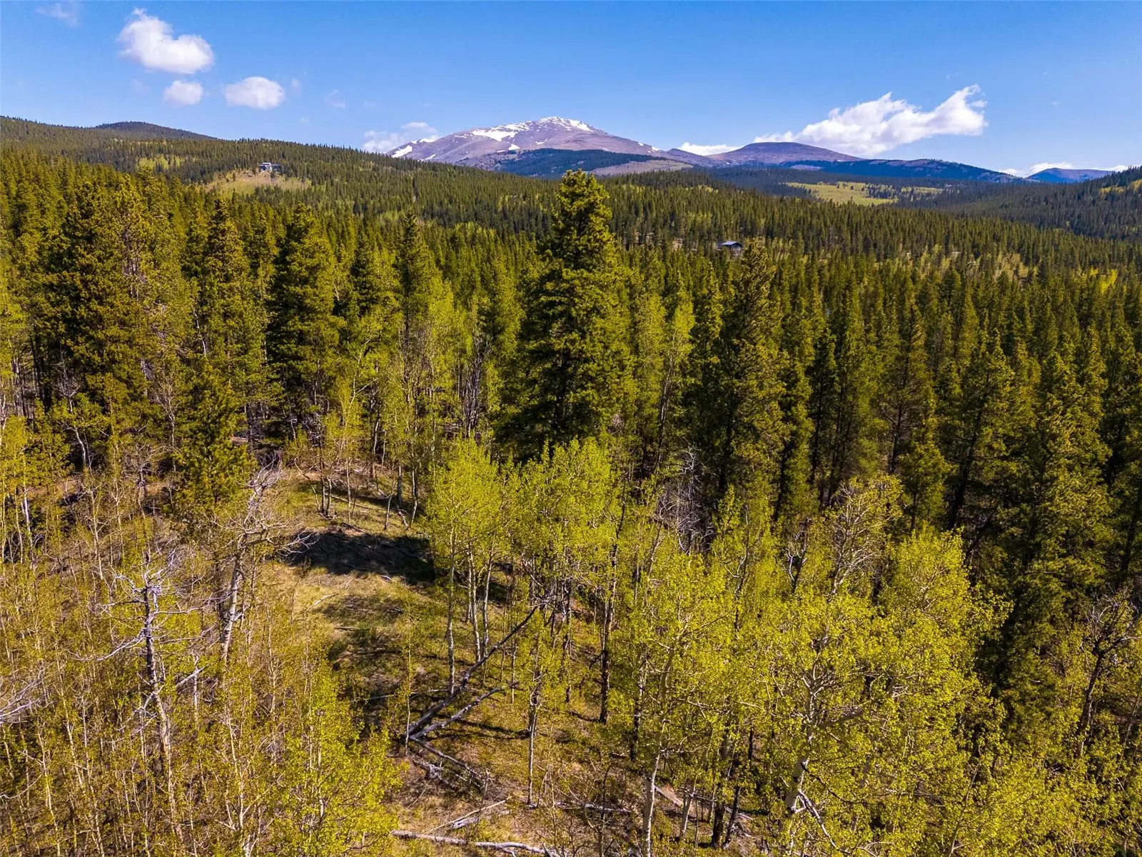 89 Ski Doo Road, Fairplay