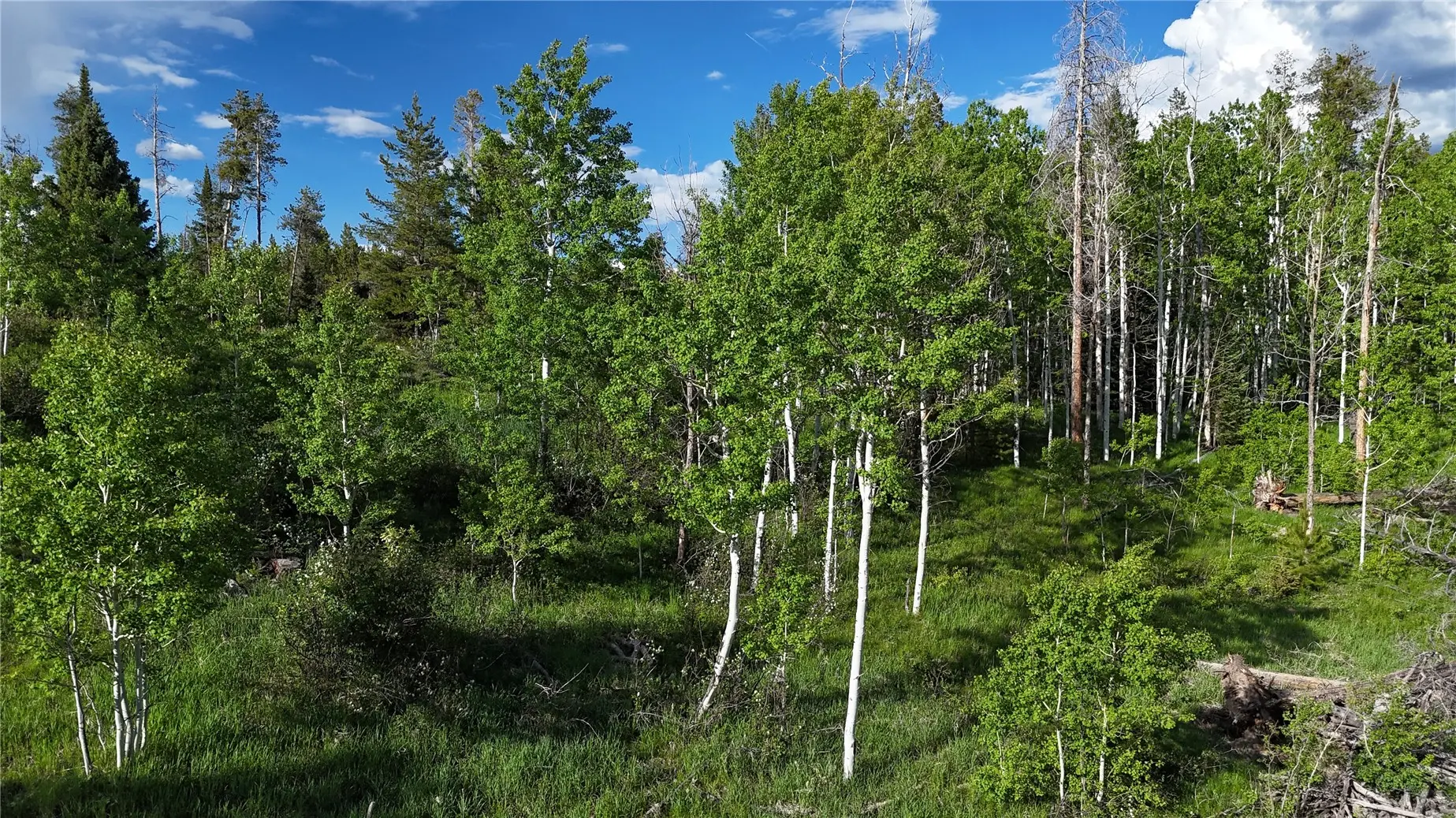 32965 Maverick Way, Oak Creek