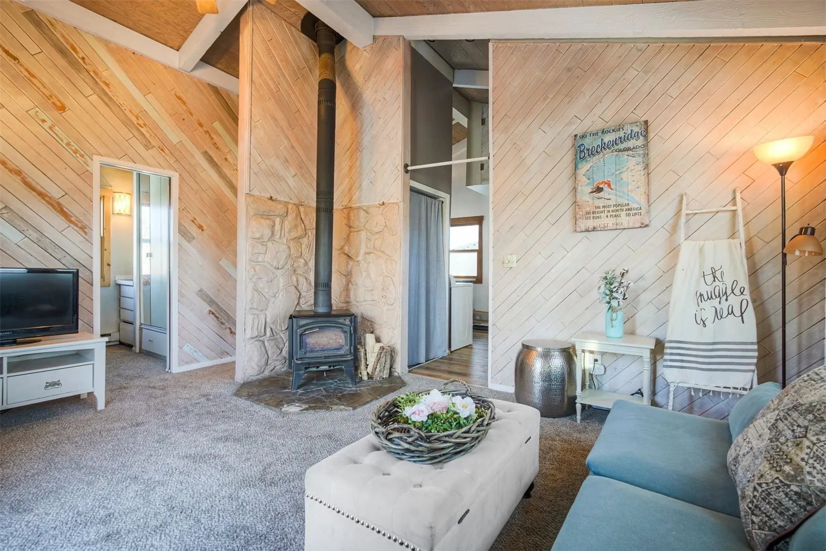 8018 Ryan Gulch Road B9, Silverthorne