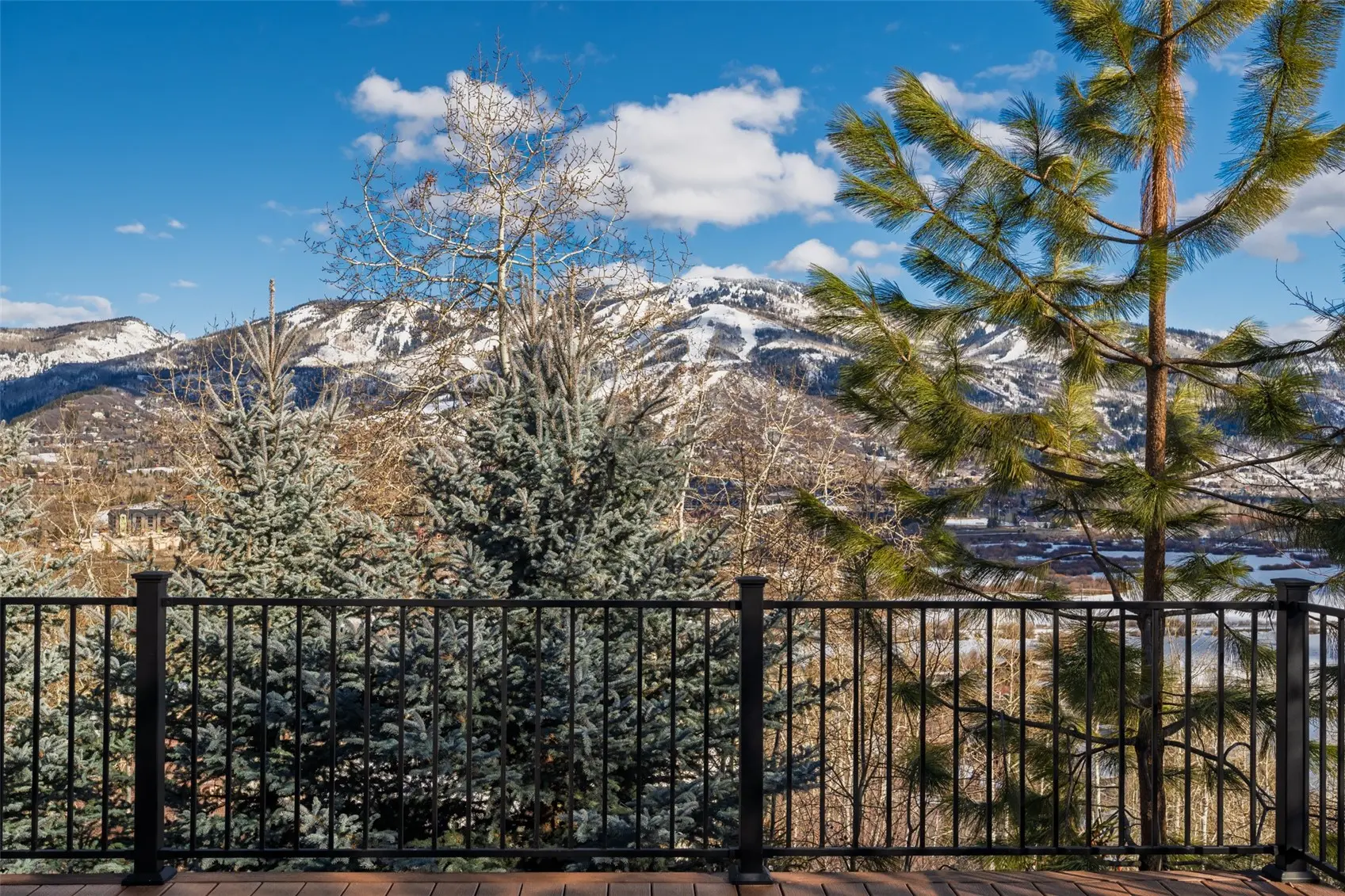 36836 Tree Haus Drive, Steamboat Springs