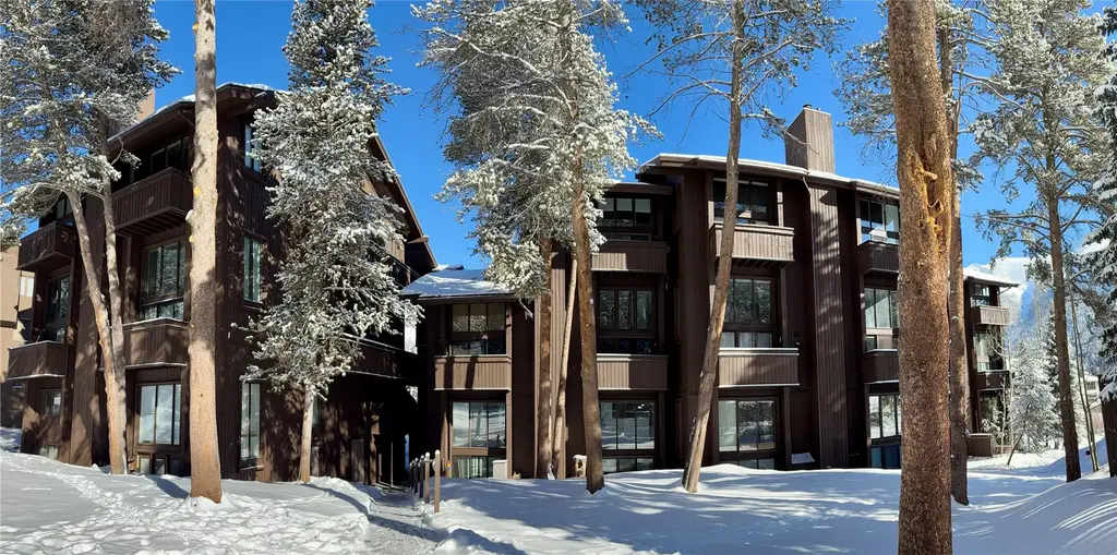 78 Guller Road 303, Copper Mountain