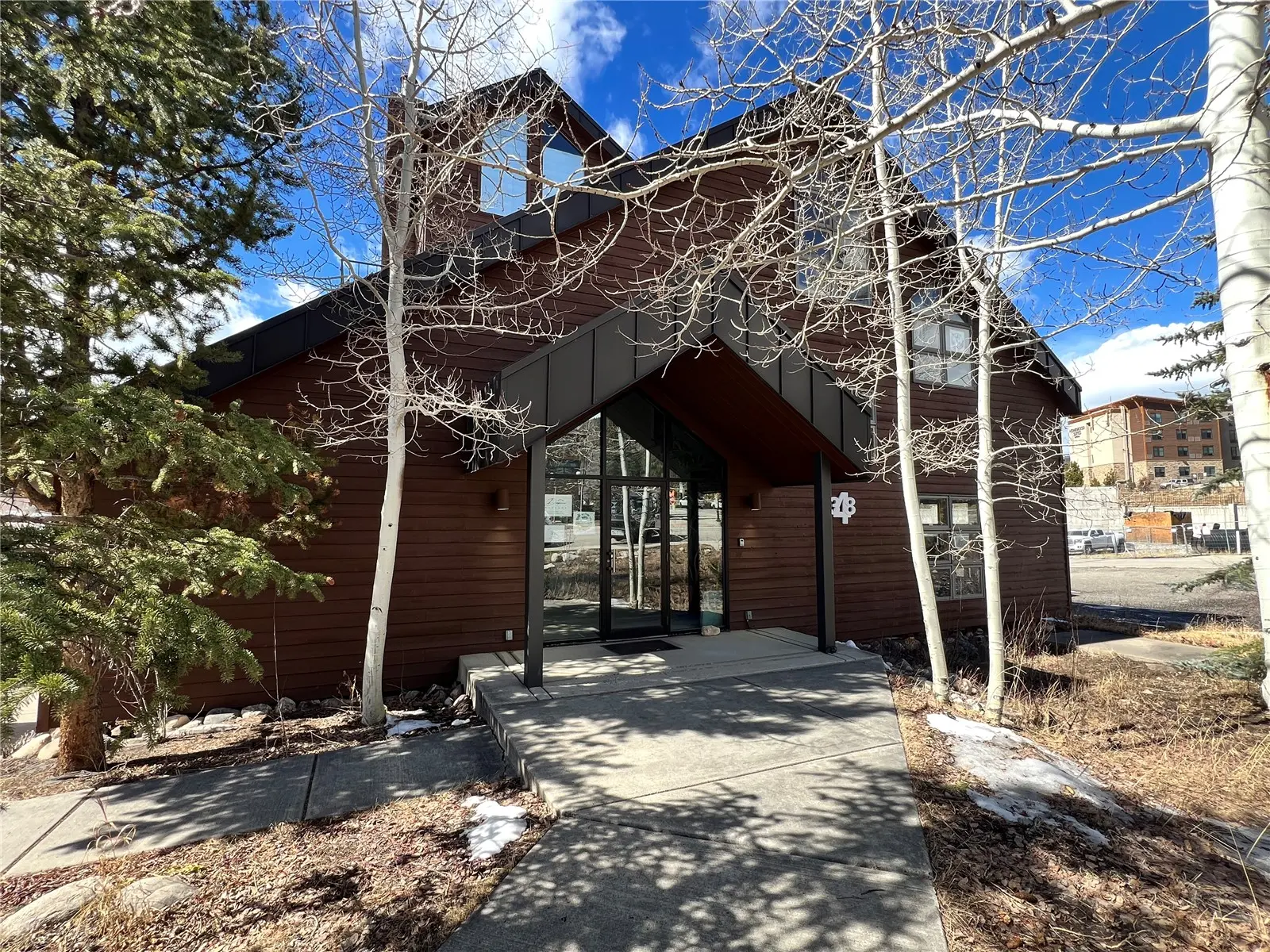 348 Lake Dillon Drive, Dillon