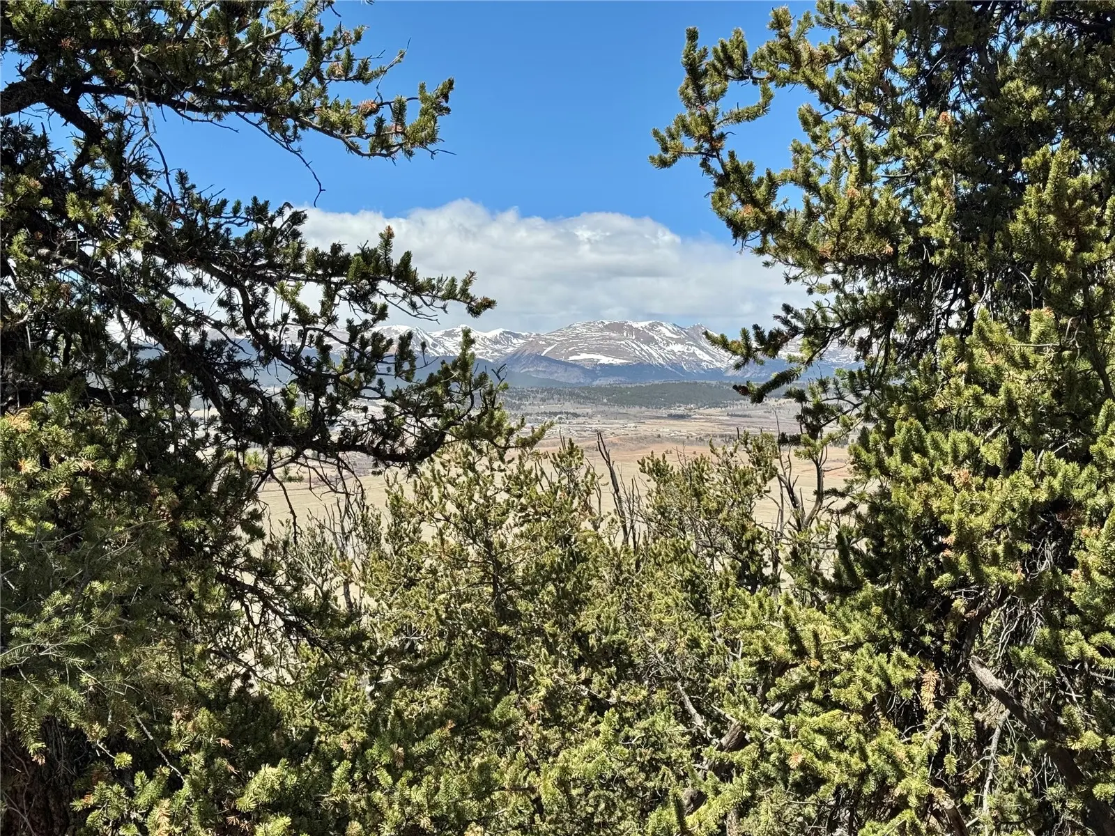 5013 Middle Fork Vista, Fairplay