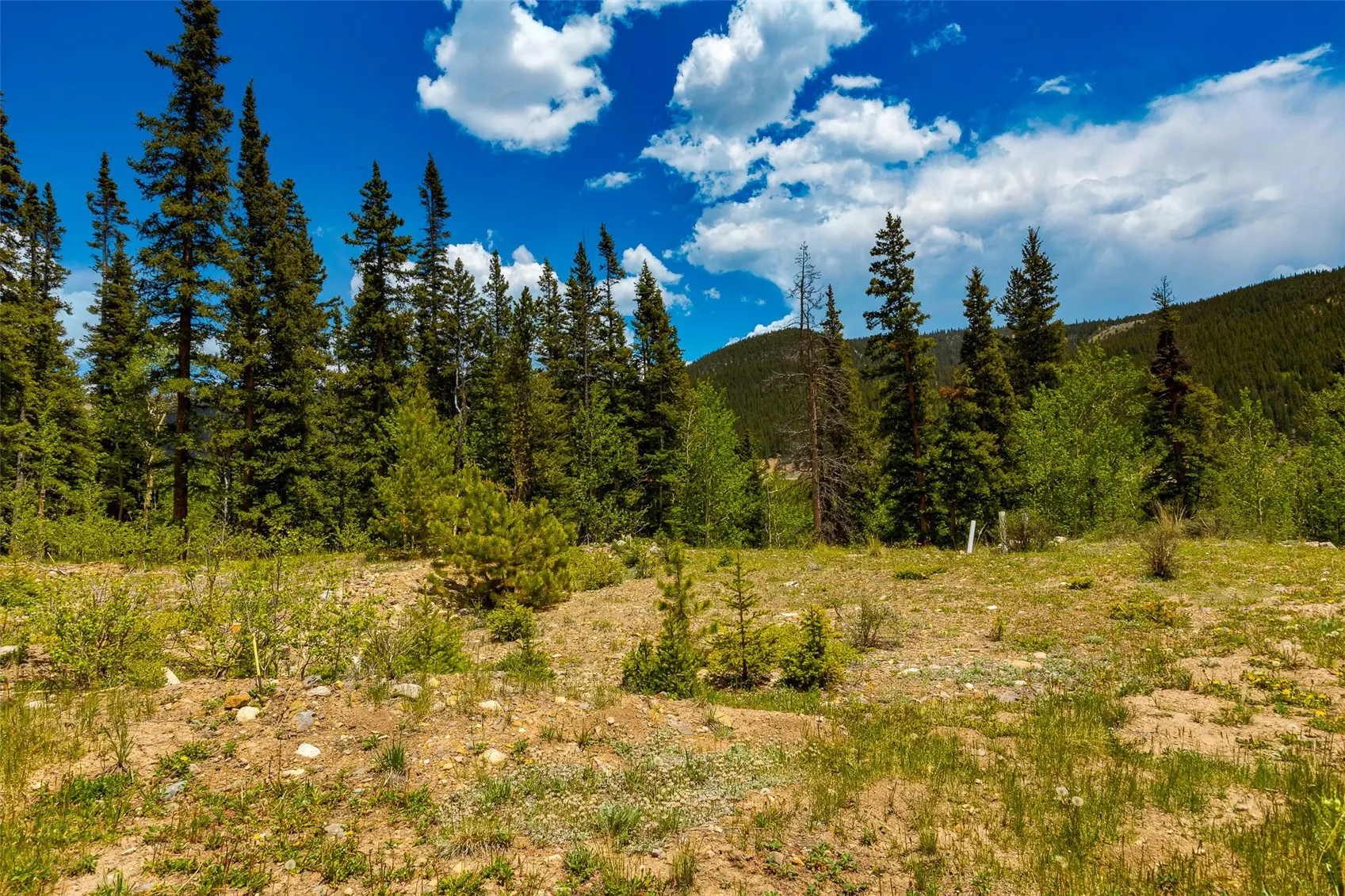 522 Quartzville Road, Alma