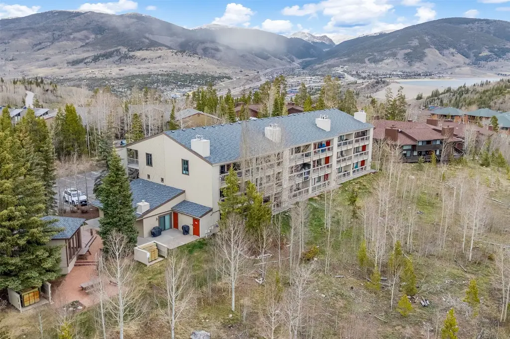 4626 Ryan Gulch Road 4626, Silverthorne