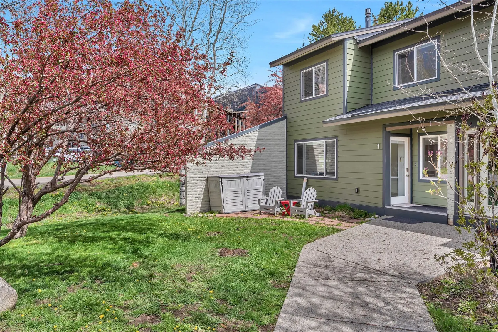 1 Cedar Court 1, Steamboat Springs