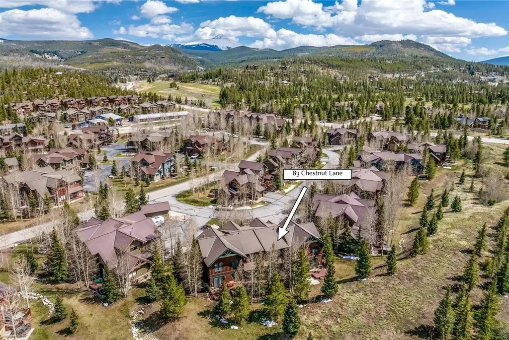 83 Chestnut Lane 83, Breckenridge