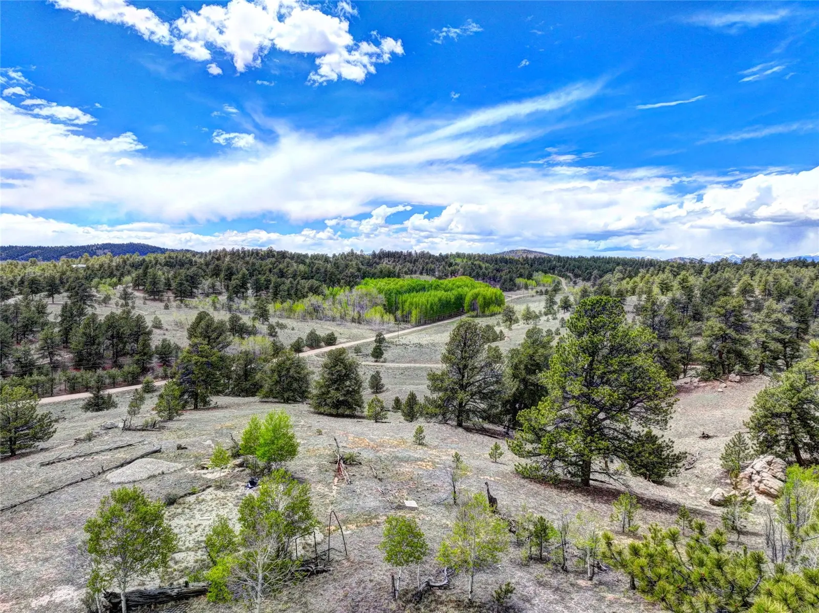 33 Jasper Way, Hartsel