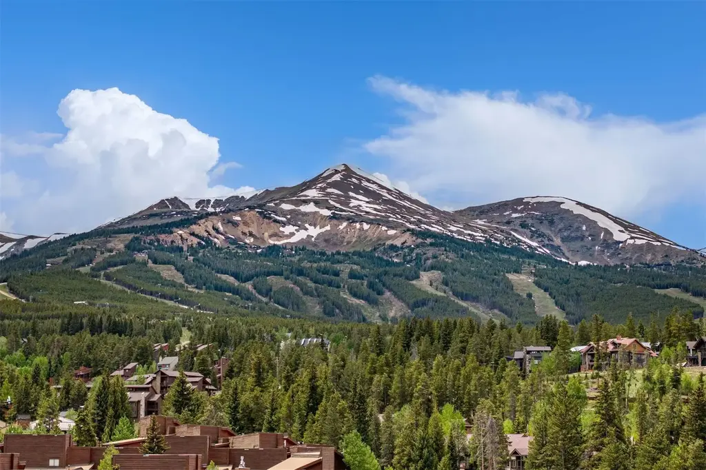 S 110 Park Avenue 106, Breckenridge