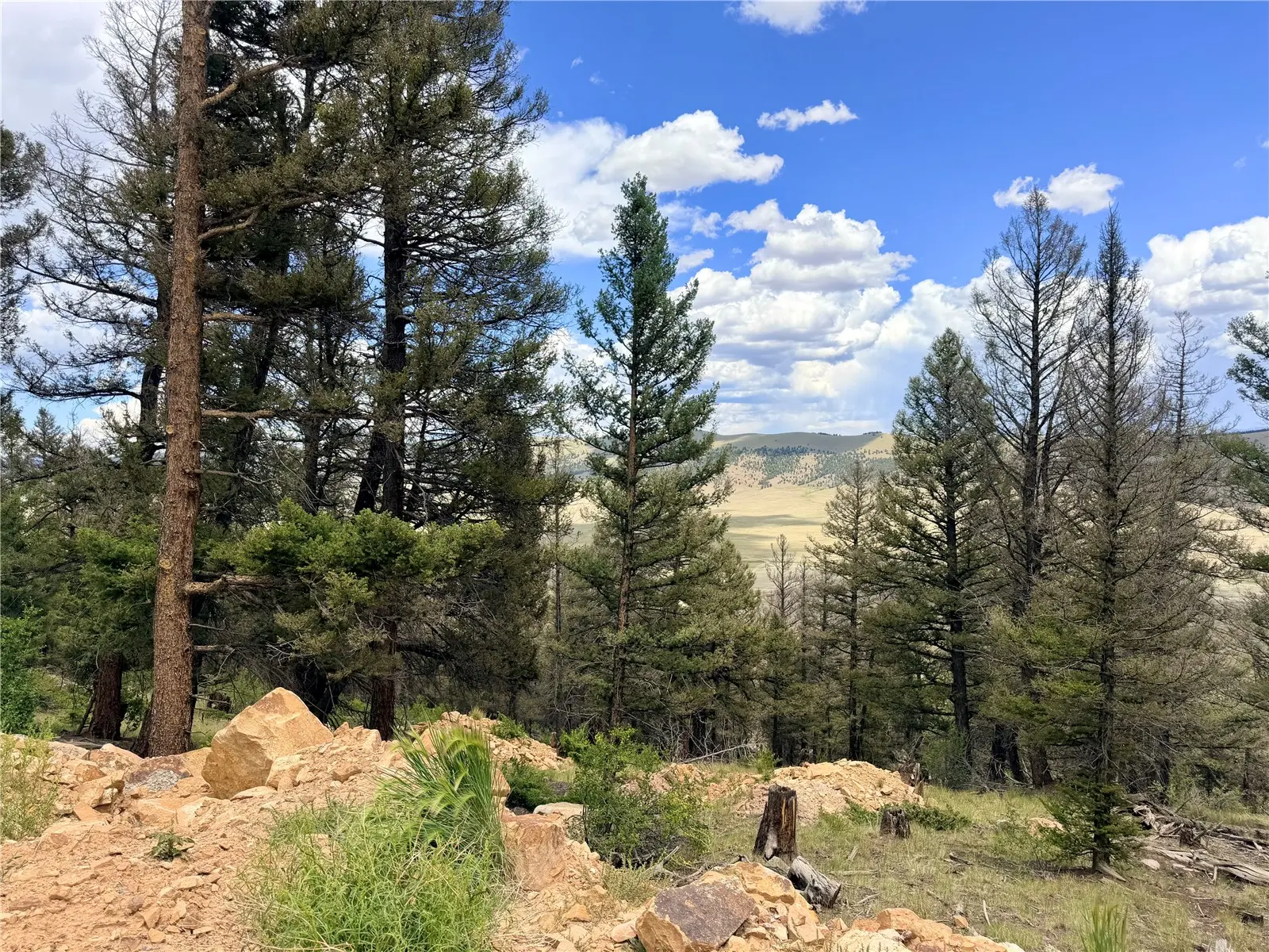 1396 Middle Fork Vista, Fairplay