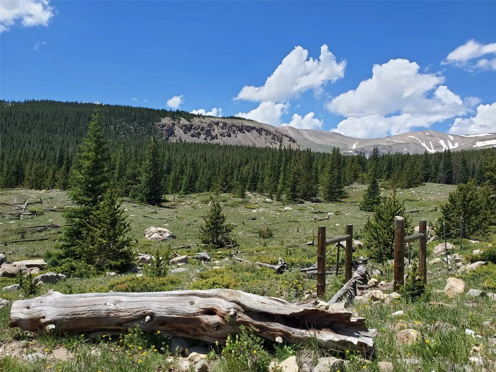 86 Timberline Trail, Fairplay