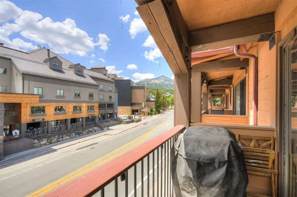 S 600 Park Avenue 201, Breckenridge