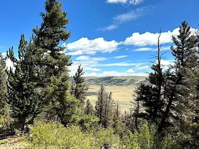 2022 Middle Fork, Fairplay