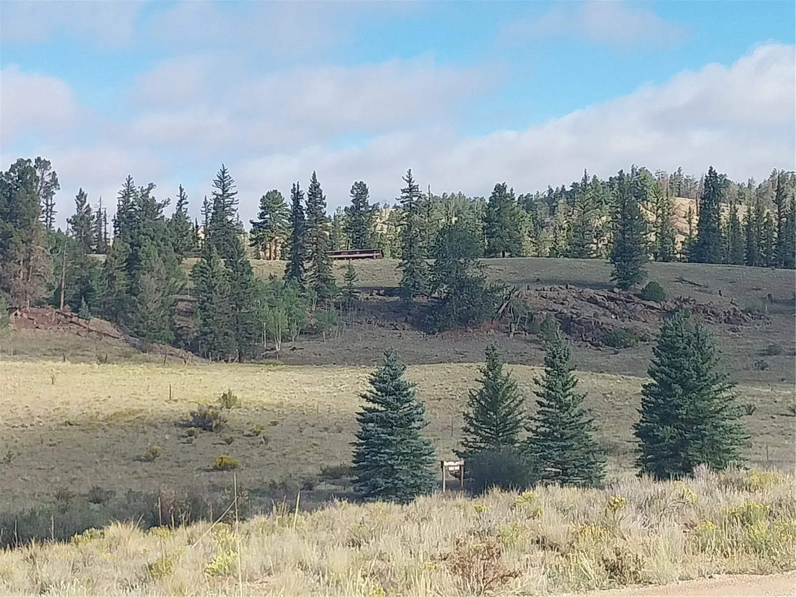 1167 Latigo Loop, Hartsel