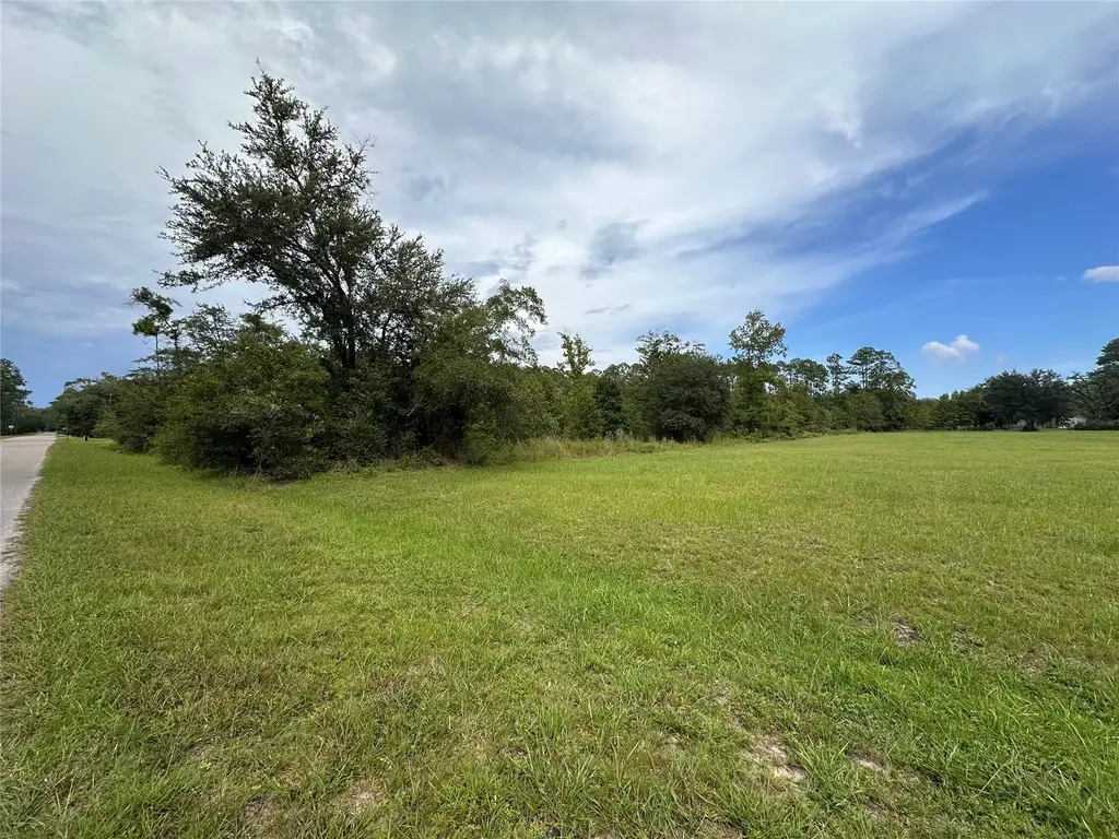 Macaw Road, Yulee