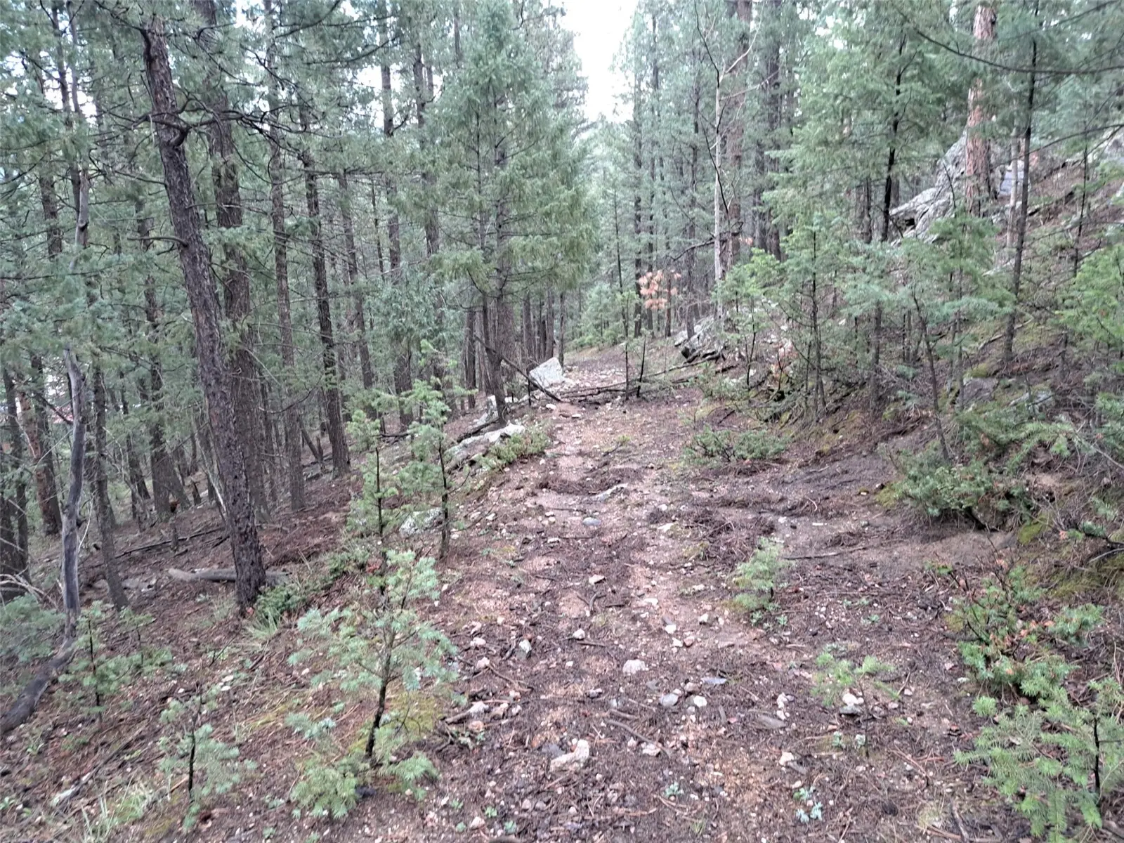 360 Hi Meadow Drive, Bailey