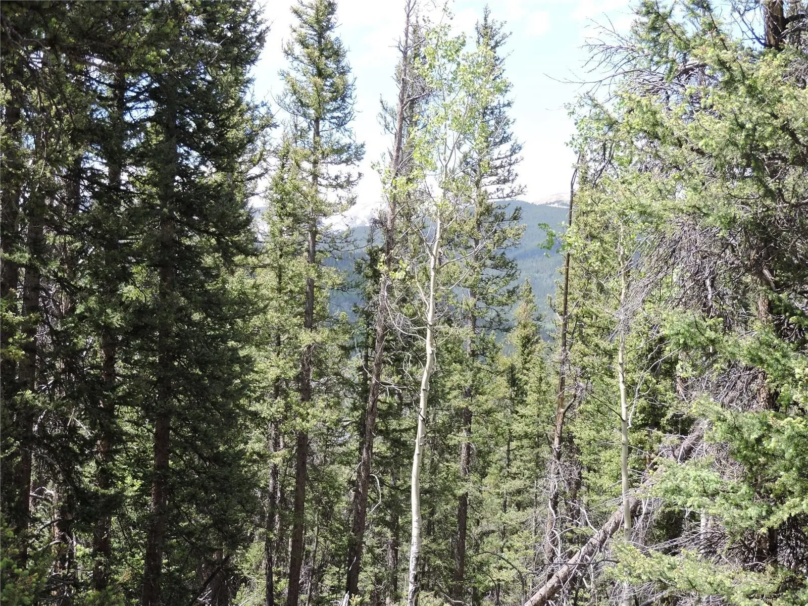 Georgia Pass Lookout, Jefferson