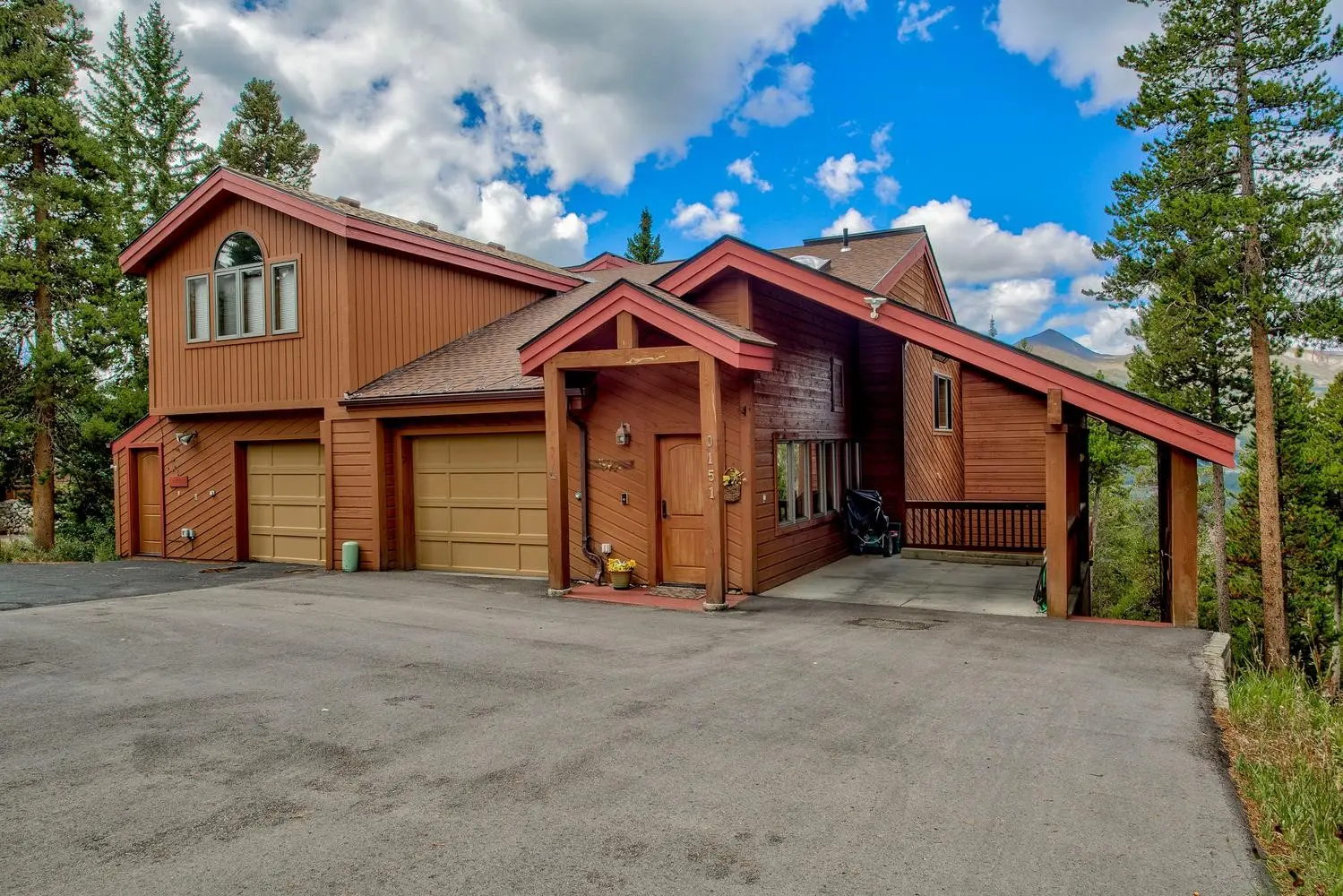 151 Emmett Lode Road, Breckenridge