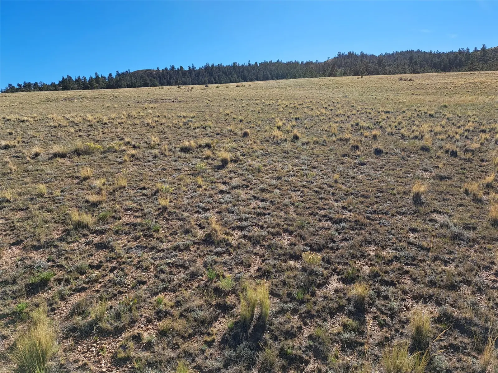 475 Summit Road, Hartsel