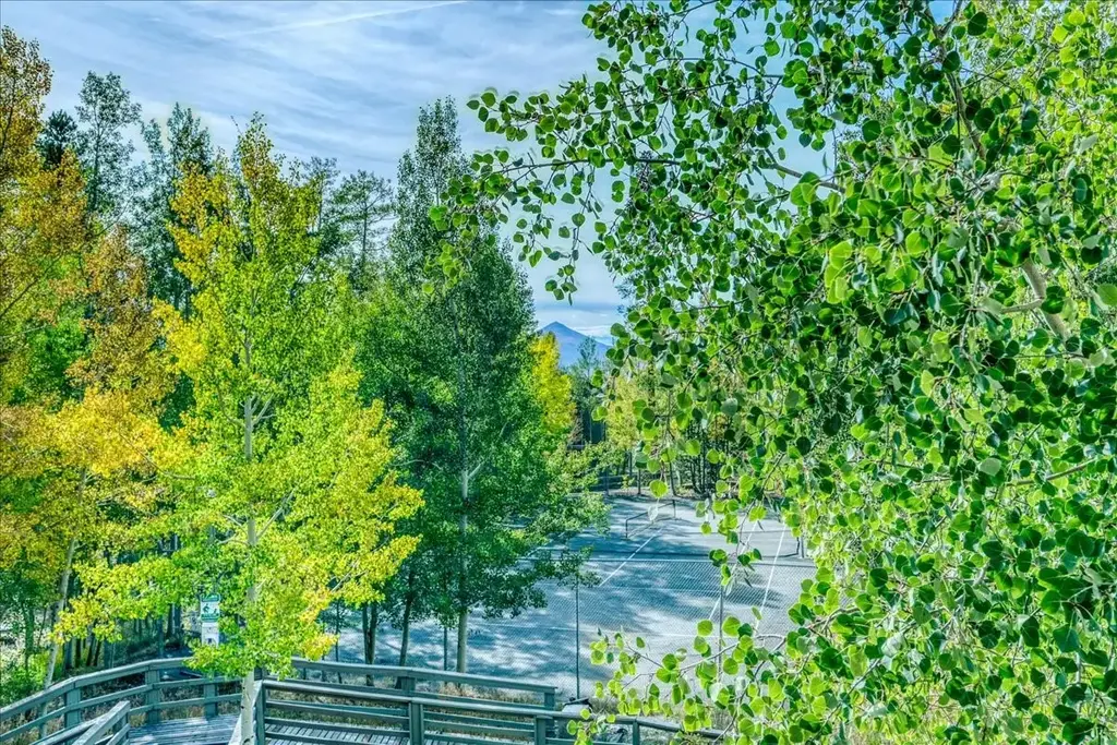 2300 Lodge Pole Circle 205, Silverthorne