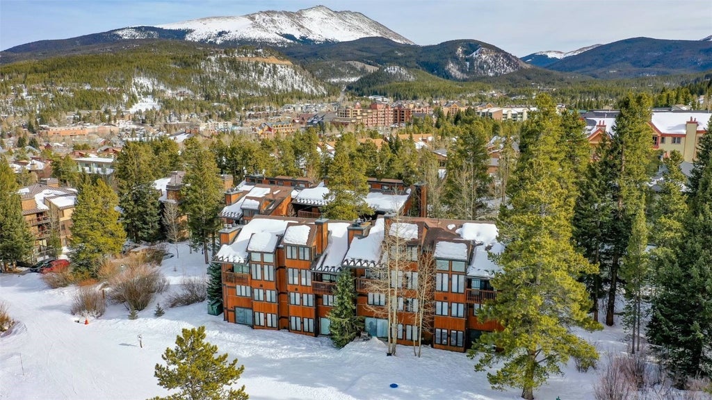 550 Four Oclock Rd # 25, BRECKENRIDGE, Colorado 80424 : MLS® #S1046694