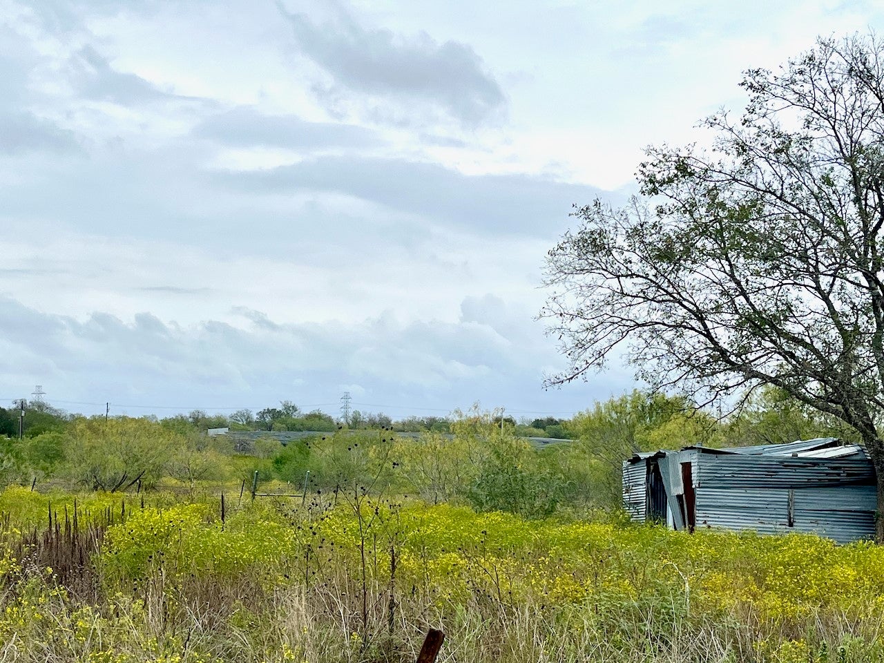 Photo of Listing #1888535