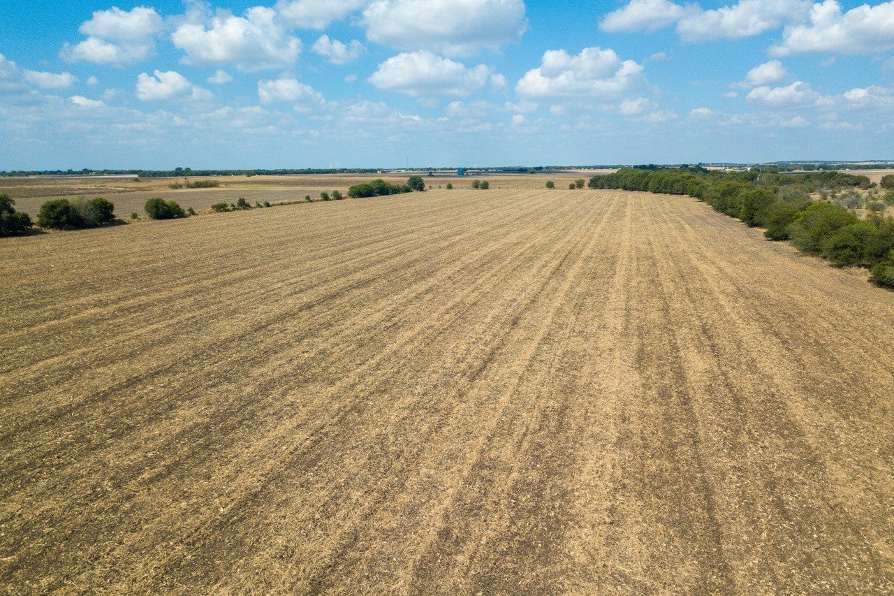 Photo of Listing #4245238