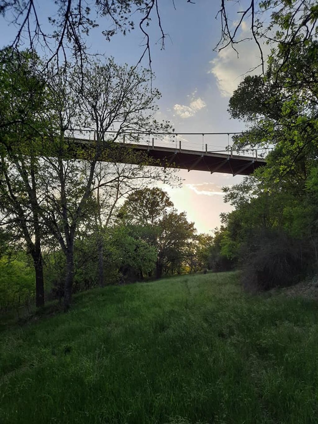 441 County Road 433, Mullin