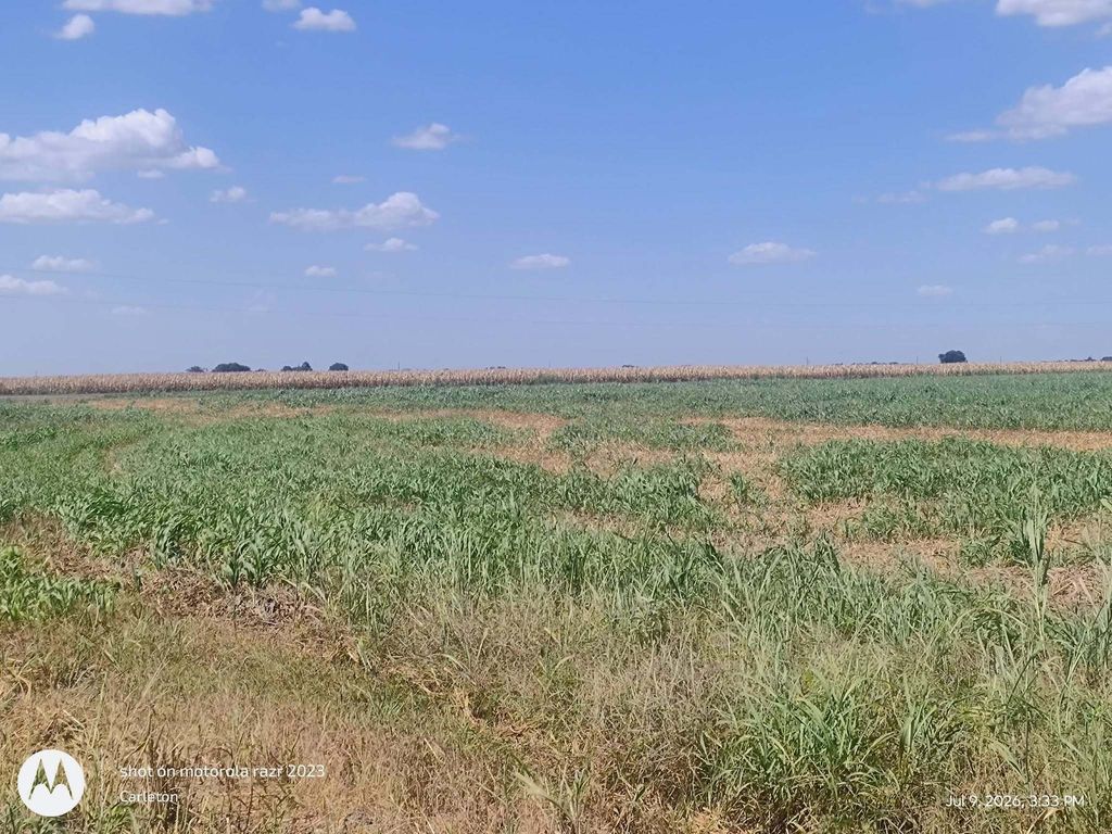 129 County Road 469, Coupland