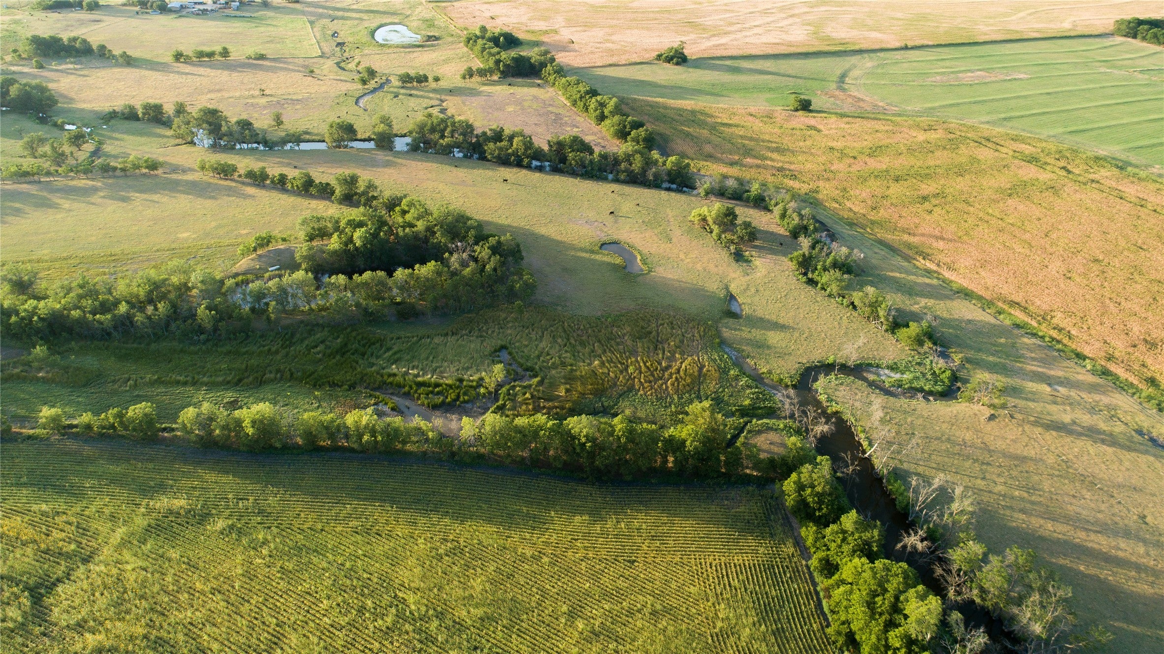 Photo of Listing #3670513