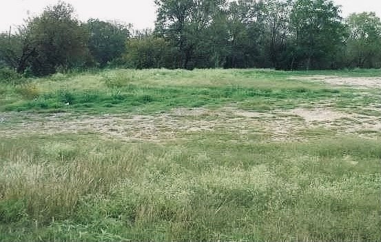 Photo of Listing #1165067