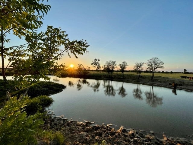 Photo of Listing #8736144