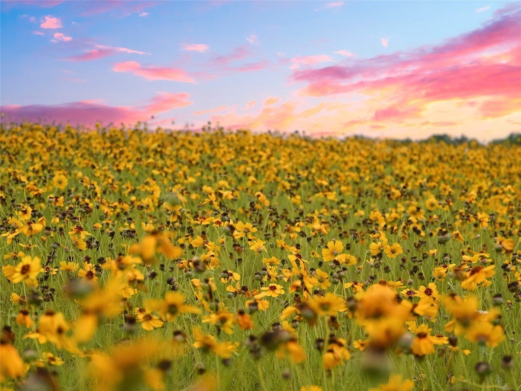 Photo of Listing #8652705