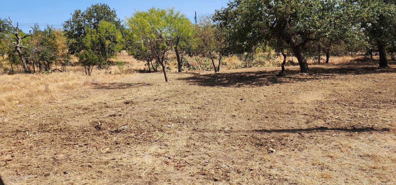 Photo of Listing #9467600