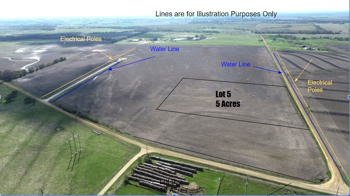 Photo of Listing #6969557