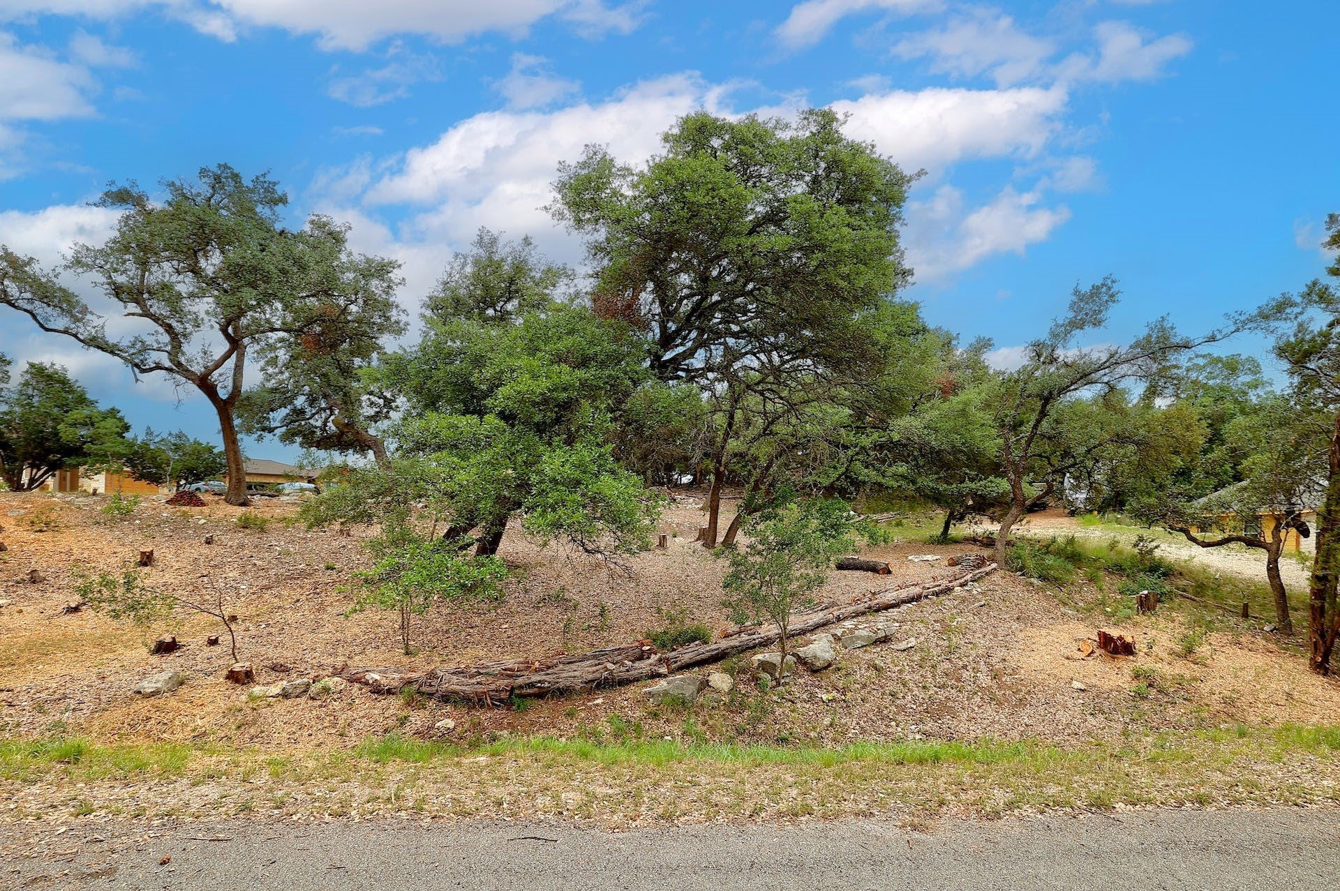 Photo of Listing #9101899