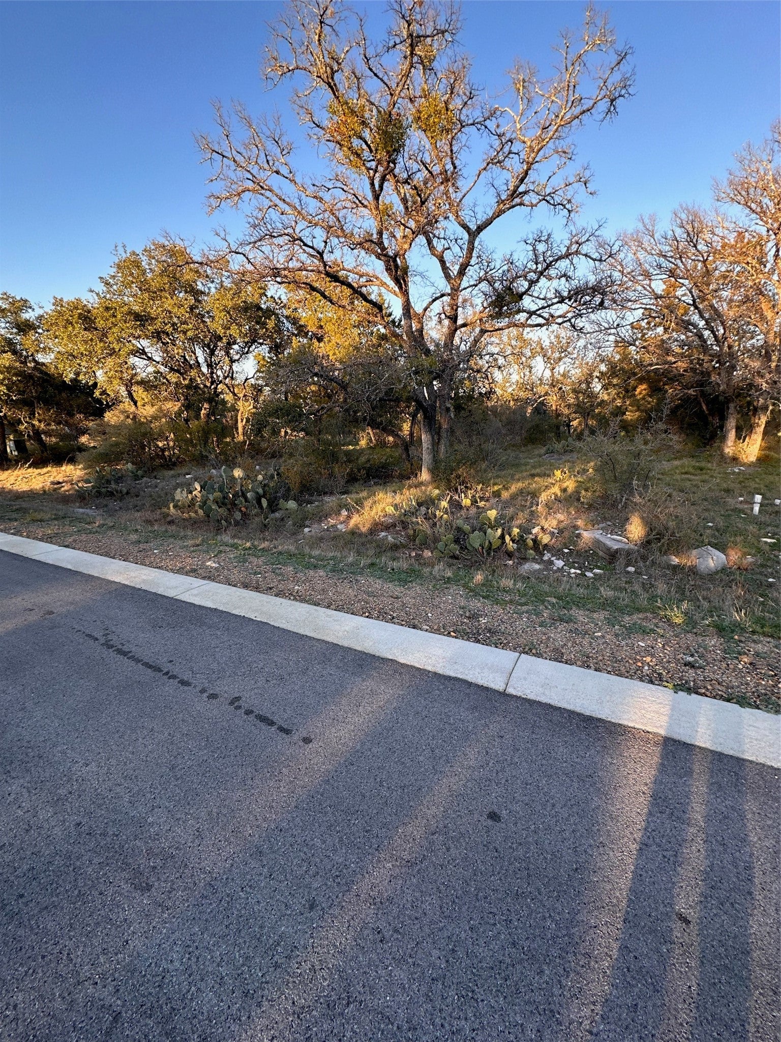 Photo of Listing #9407684