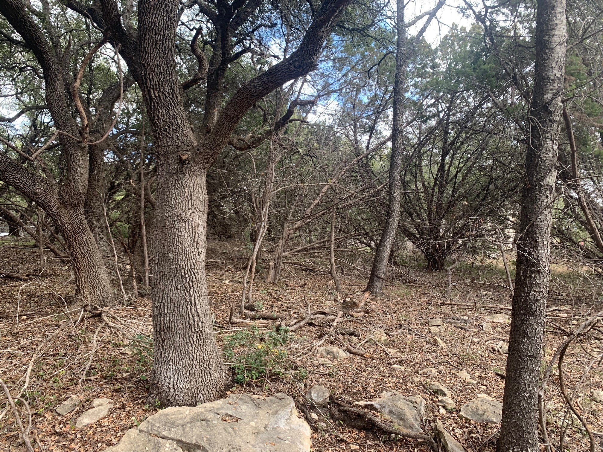 Photo of Listing #9934196