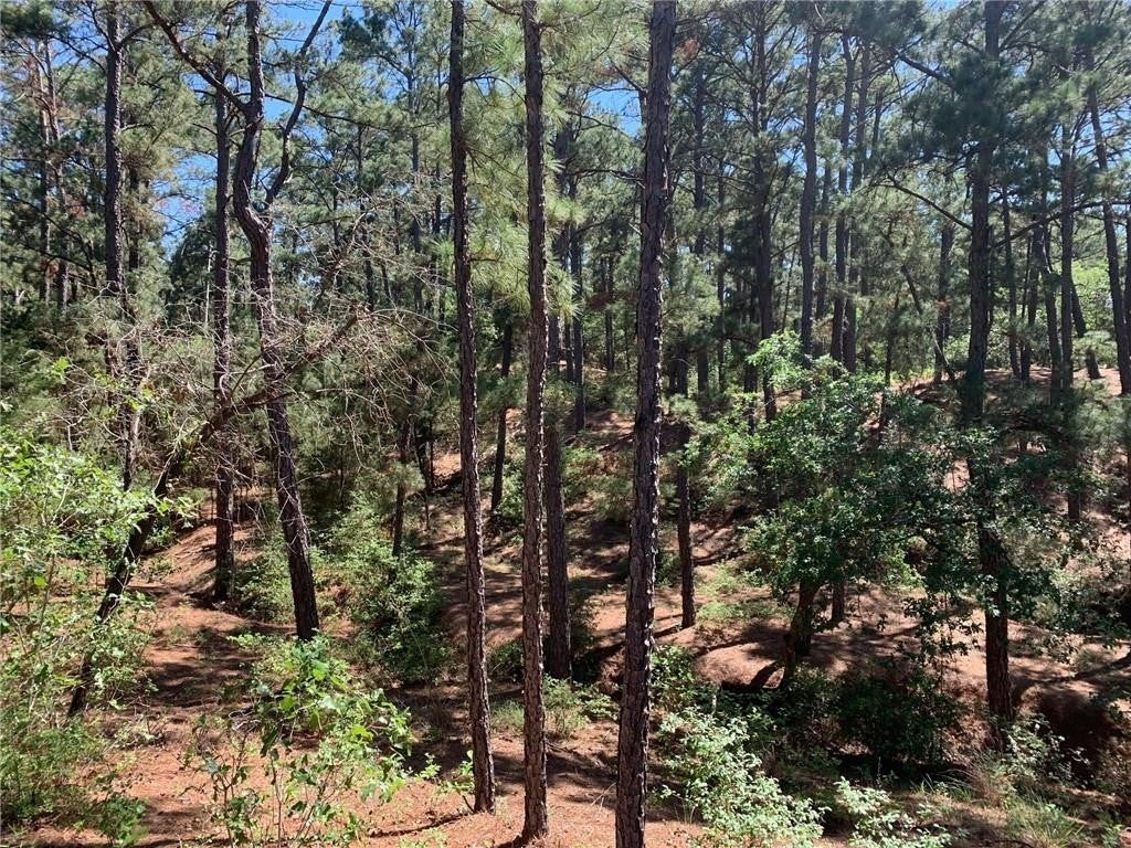 Photo of Listing #7735171